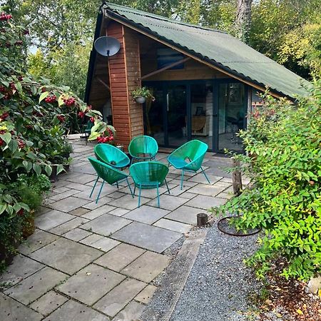 The Shed . A Cosy, Peaceful, 96% Recycled, Chalet. Swansea Exterior photo